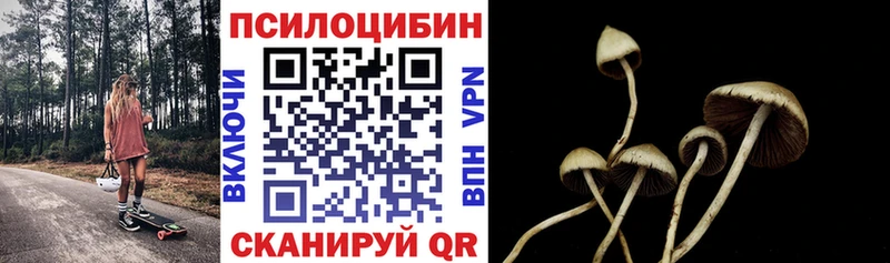 Псилоцибиновые грибы прущие грибы  Неман 